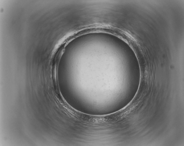 X0000060261310200511010902