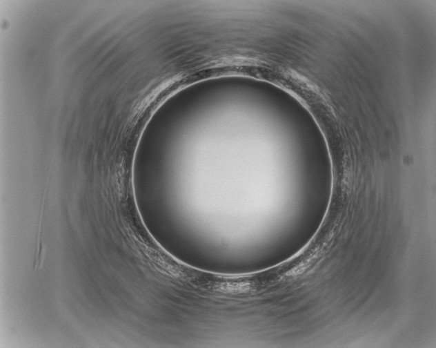 X0000060261313200511010903