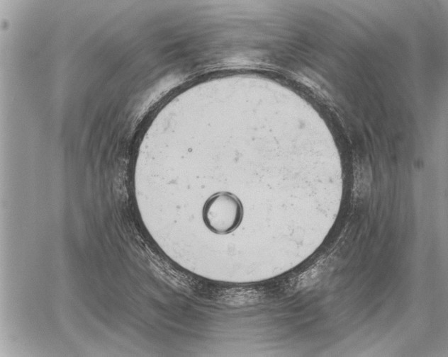 X0000060261314200511010903