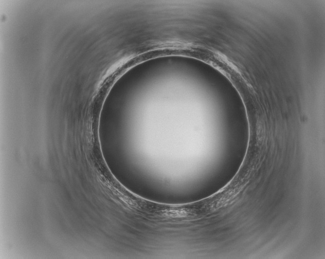 X0000060261315200511010903