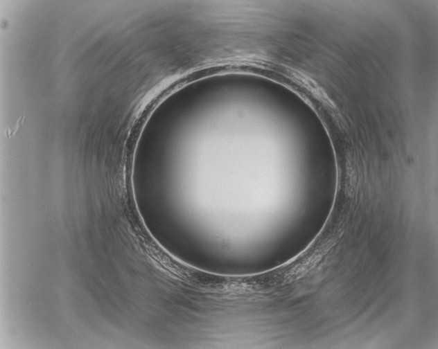 X0000060261316200511010903