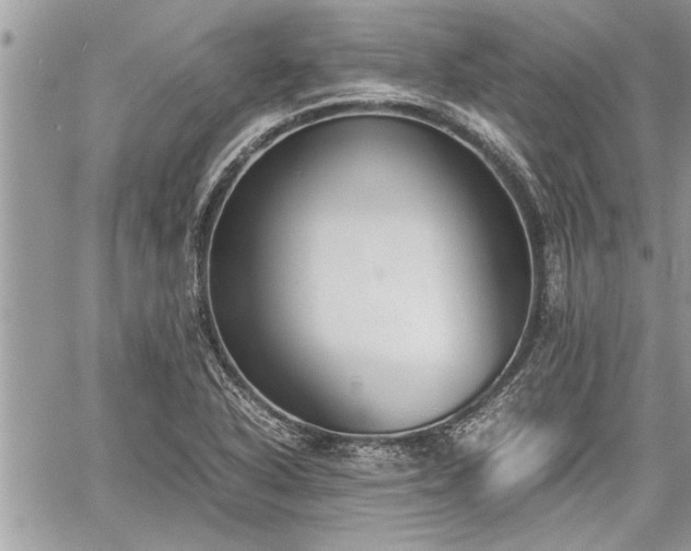 X0000060261318200511010903