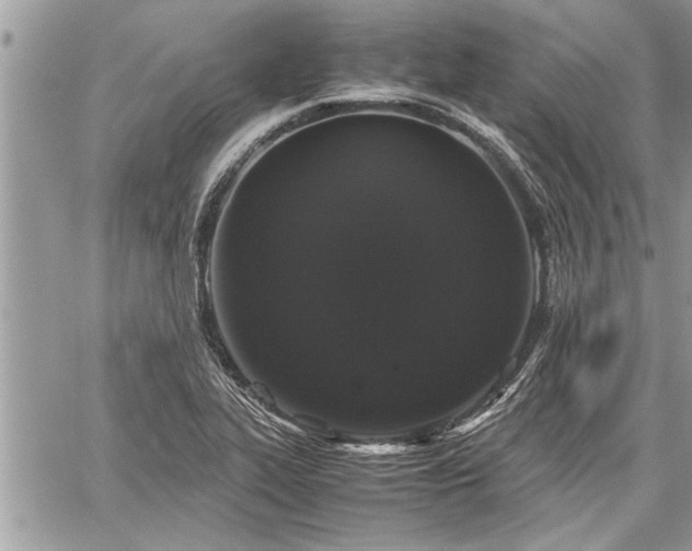 X0000060261319200511010903