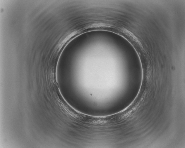 X0000060261321200511010903