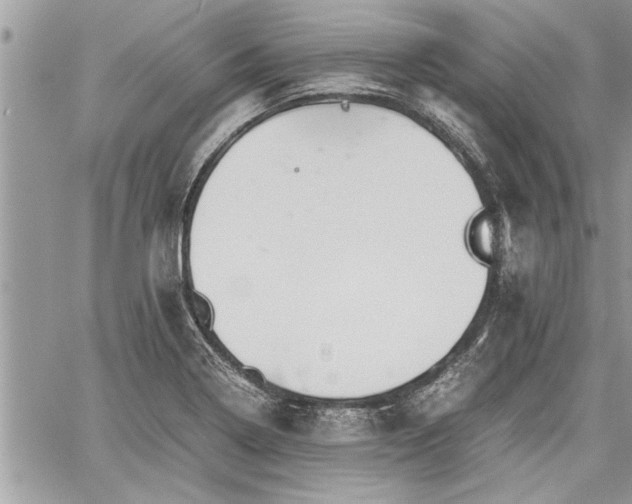 X0000060261322200511010903