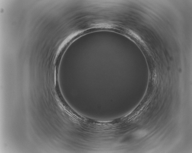 X0000060261323200511010903