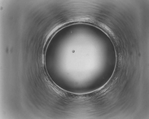 X0000060261324200511010903