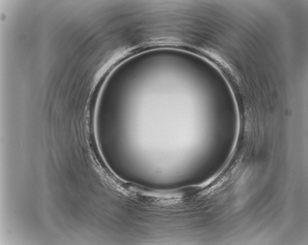 X0000060261325200511010903