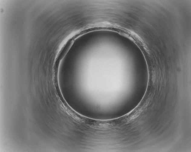 X0000060261326200511010903