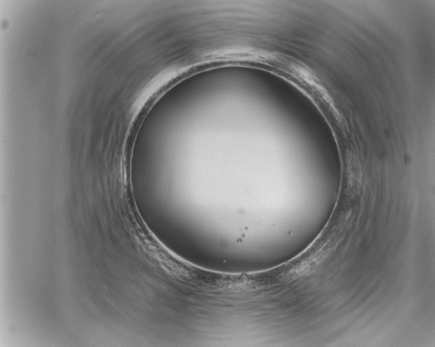 X0000060261328200511010903