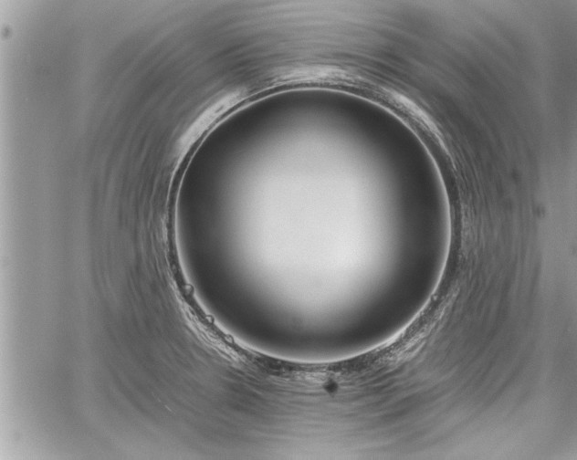 X0000060261330200511010903