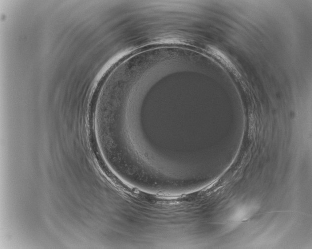 X0000060261331200511010903