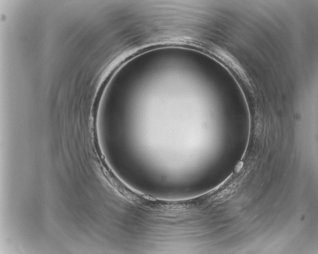 X0000060261332200511010903