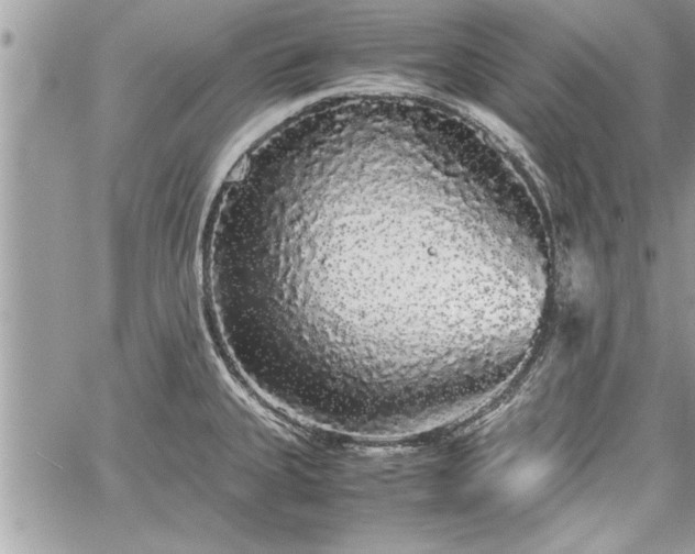 X0000060261335200511010903