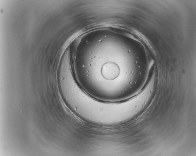 X0000060261338200511010903