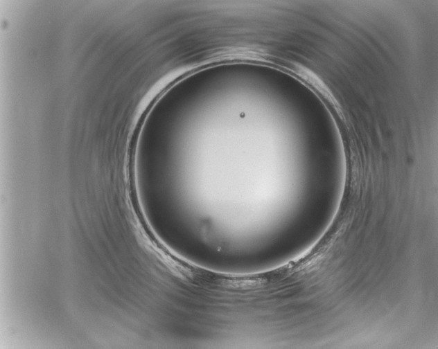 X0000060261339200511010903