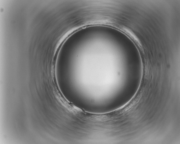 X0000060261340200511010903