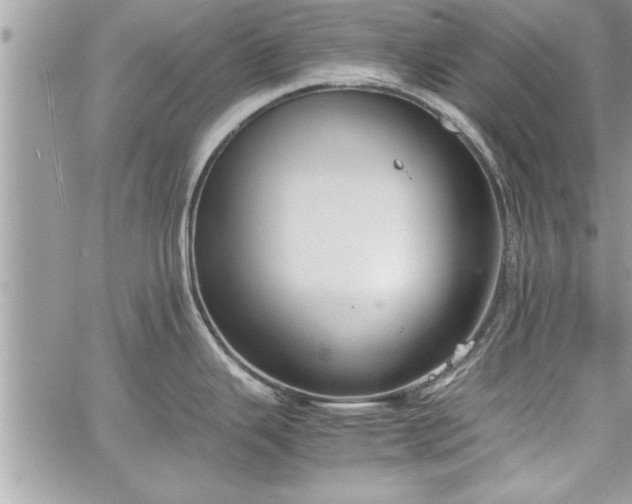 X0000060261343200511010903