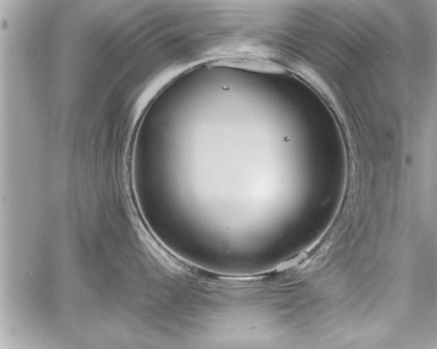 X0000060261344200511010903