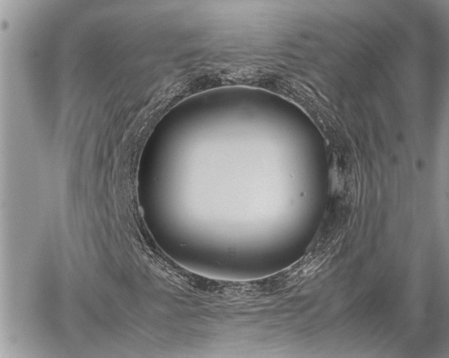 X0000060261345200511010902