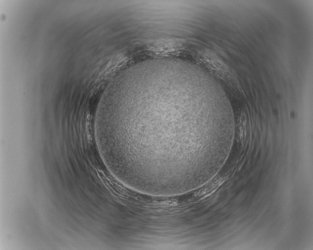 X0000060261346200511010902