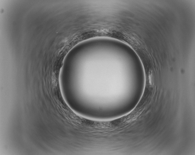 X0000060261347200511010902