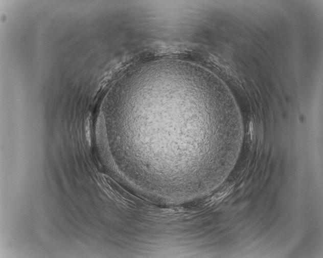 X0000060261348200511010902