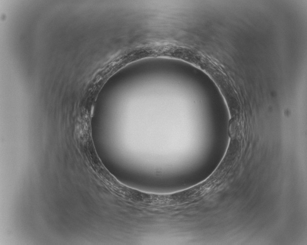 X0000060261349200511010902