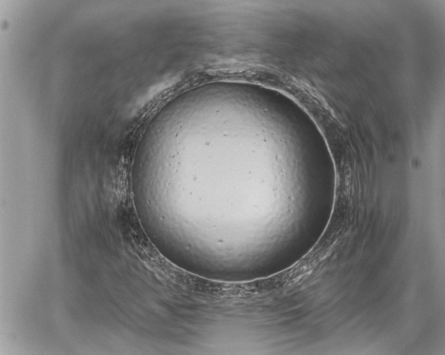 X0000060261350200511010902