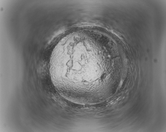 X0000060261351200511010902