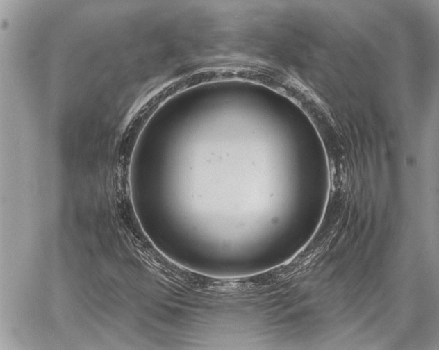 X0000060261352200511010902