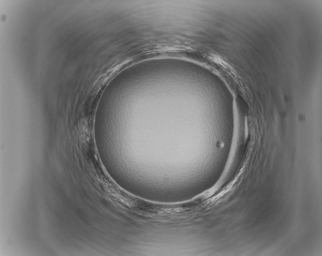 X0000060261353200511010902