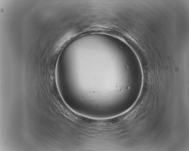 X0000060261355200511010902