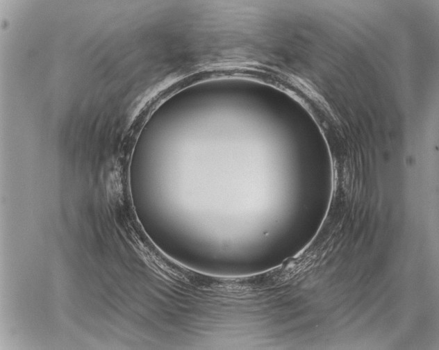 X0000060261356200511010902