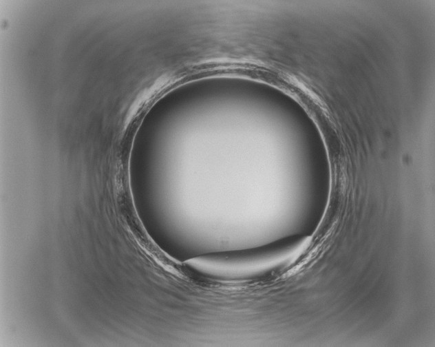 X0000060261357200511010902