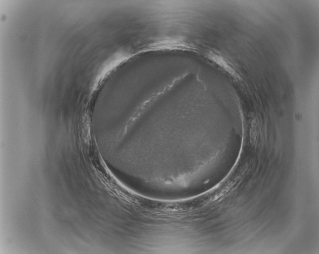 X0000060261358200511010902