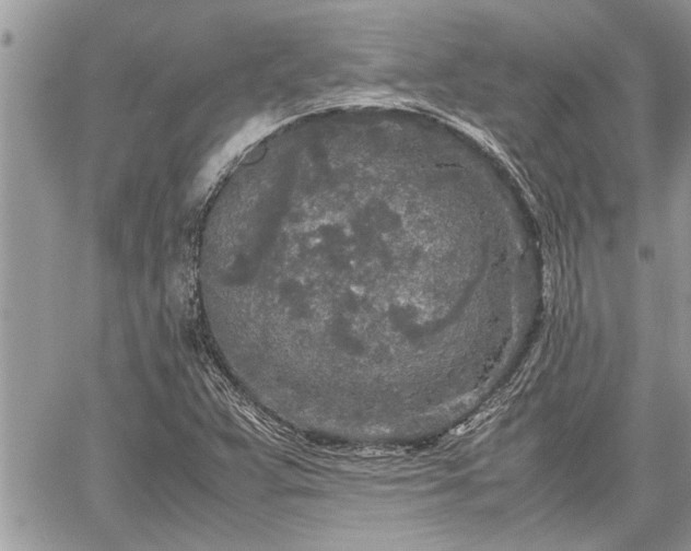 X0000060261359200511010902