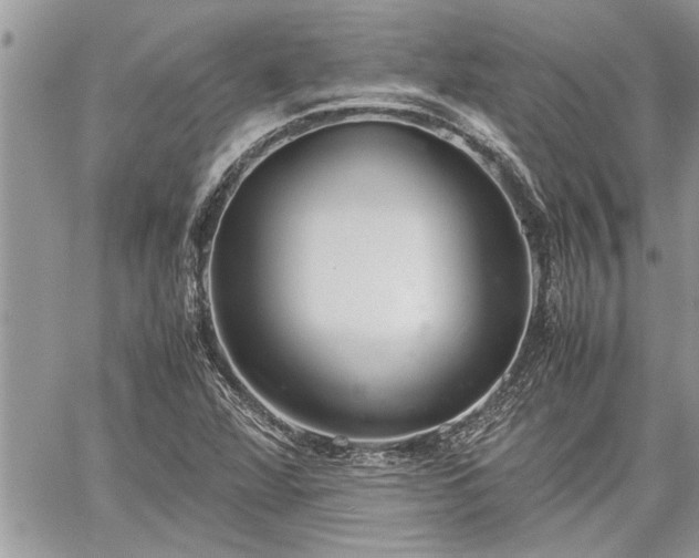 X0000060261360200511010902