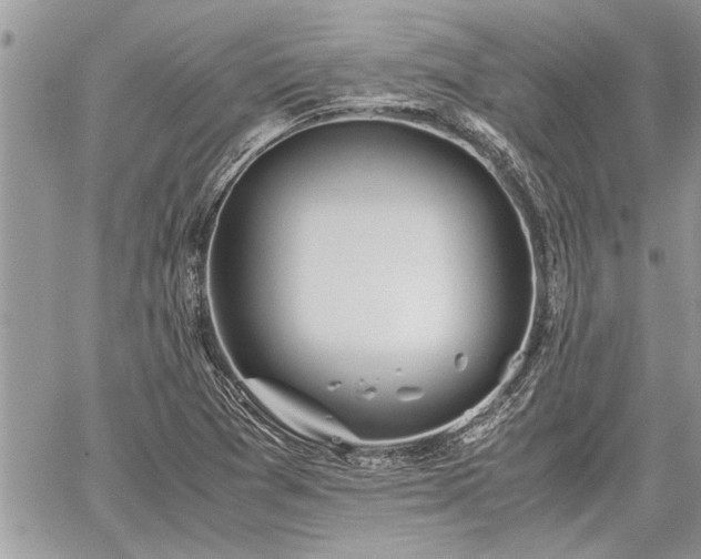 X0000060261361200511010902