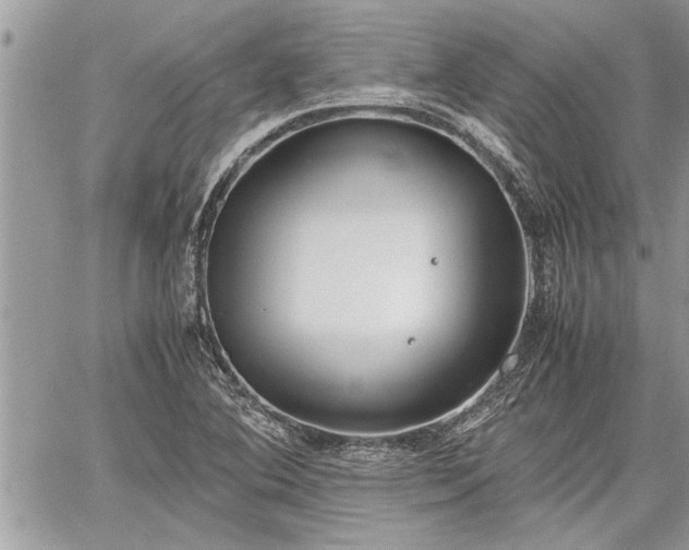 X0000060261364200511010902