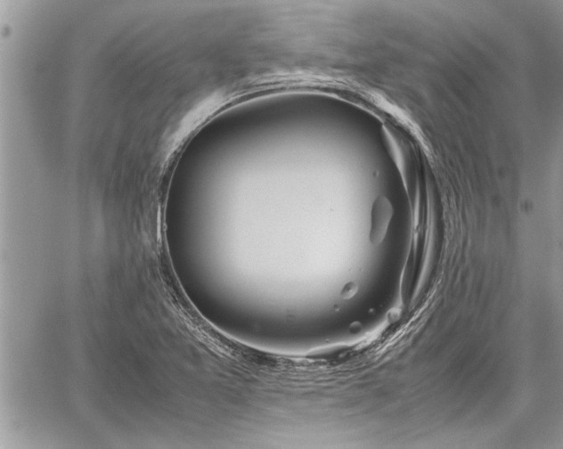 X0000060261365200511010902