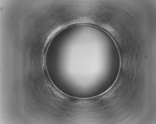 X0000060261366200511010902