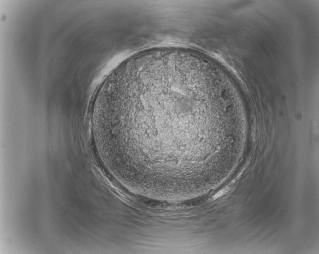 X0000060261367200511010902