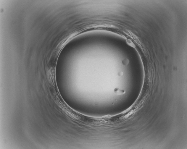 X0000060261369200511010902