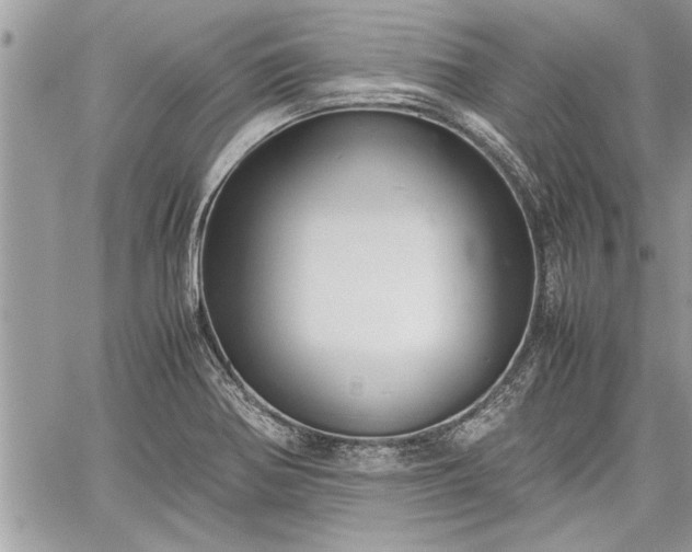 X0000060261370200511010902