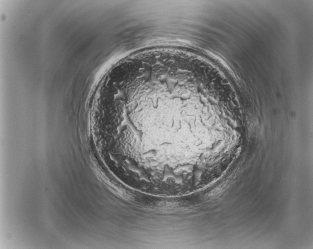 X0000060261371200511010902