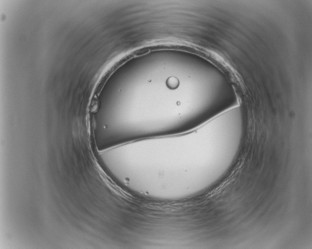 X0000060261372200511010902