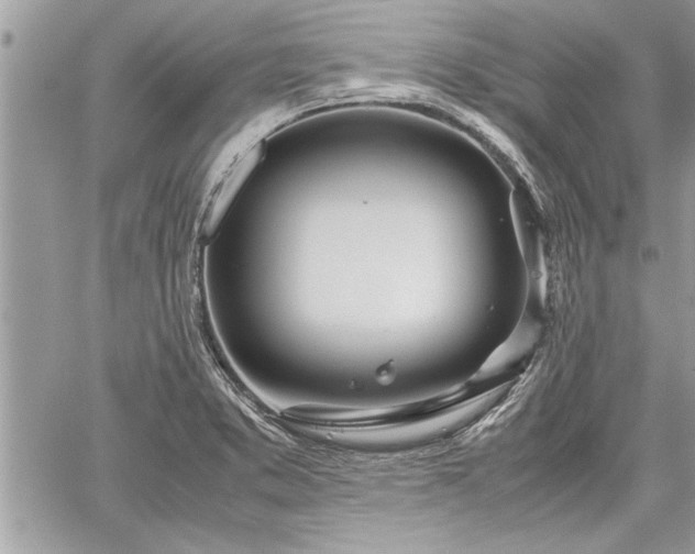 X0000060261373200511010902