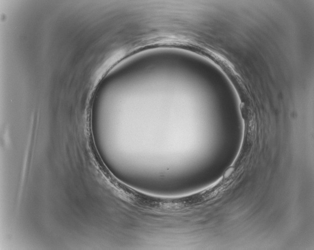 X0000060261375200511010902