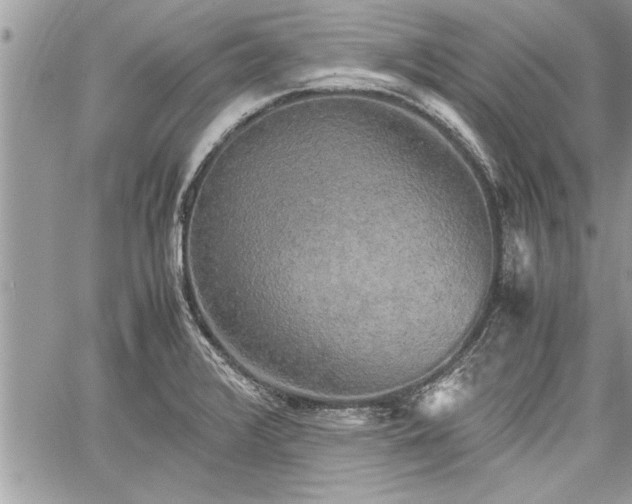 X0000060261376200511010902